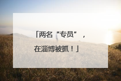 两名“专员”，在淄博被抓！