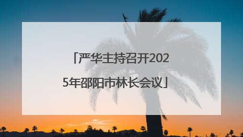 严华主持召开2025年邵阳市林长会议