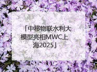 中移物联水利大模型亮相MWC上海2025
