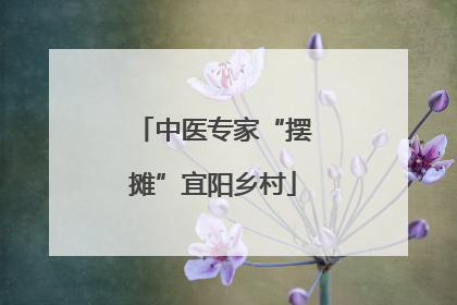 中医专家“摆摊”宜阳乡村