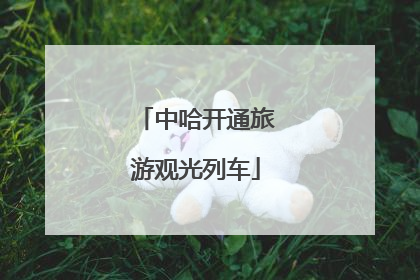 中哈开通旅游观光列车