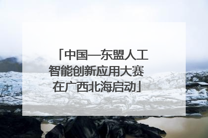 中国—东盟人工智能创新应用大赛在广西北海启动