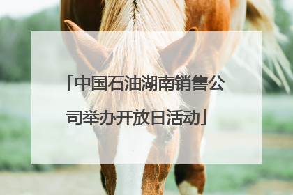 中国石油湖南销售公司举办开放日活动