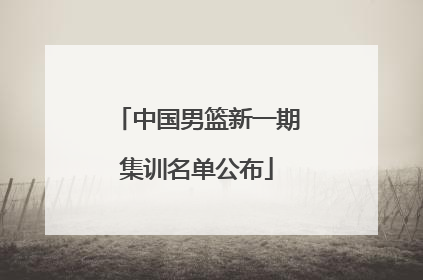 中国男篮新一期集训名单公布