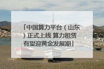 中国算力平台（山东）正式上线 算力租赁有望迎黄金发展期