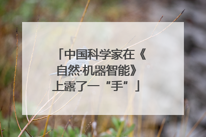 中国科学家在《自然·机器智能》上露了一“手”
