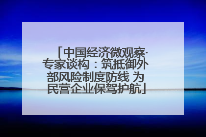 中国经济微观察·专家谈构：筑抵御外部风险制度防线 为民营企业保驾护航