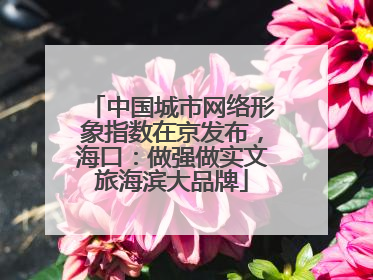 中国城市网络形象指数在京发布，海口：做强做实文旅海滨大品牌