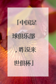 中国足球俱乐部，咋没来世俱杯