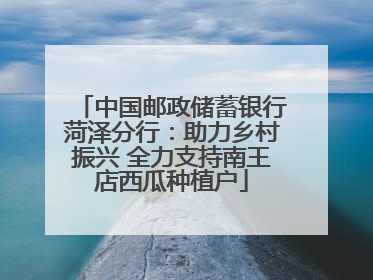 中国邮政储蓄银行菏泽分行：助力乡村振兴 全力支持南王店西瓜种植户