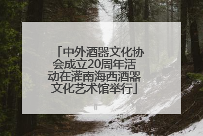 中外酒器文化协会成立20周年活动在灌南海西酒器文化艺术馆举行