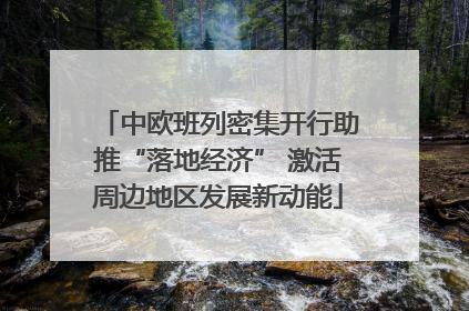 中欧班列密集开行助推“落地经济” 激活周边地区发展新动能