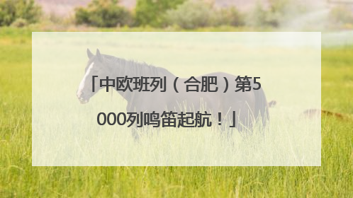 中欧班列（合肥）第5000列鸣笛起航！