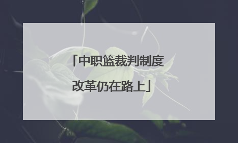 中职篮裁判制度改革仍在路上
