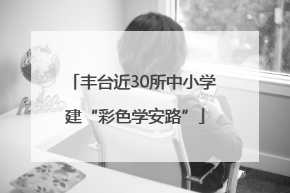 丰台近30所中小学建“彩色学安路”