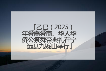 乙巳（2025）年舜裔舜商、华人华侨公祭舜帝典礼在宁远县九嶷山举行