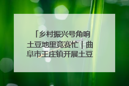 乡村振兴号角响 土豆地里竞赛忙｜曲阜市王庄镇开展土豆收获劳动竞赛