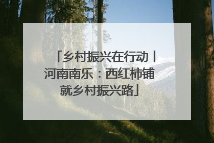 乡村振兴在行动丨河南南乐：西红柿铺就乡村振兴路