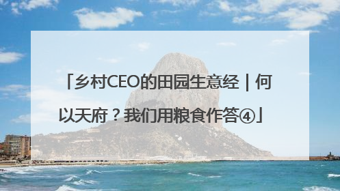 乡村CEO的田园生意经｜何以天府？我们用粮食作答④