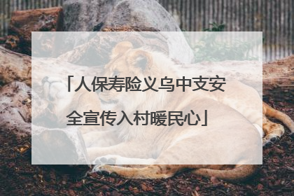 人保寿险义乌中支安全宣传入村暖民心