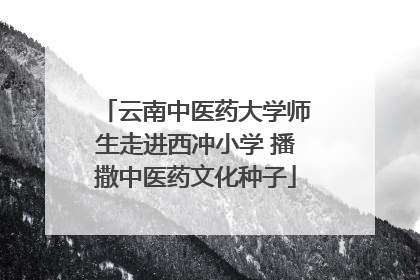 云南中医药大学师生走进西冲小学 播撒中医药文化种子