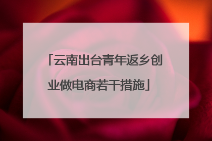 云南出台青年返乡创业做电商若干措施