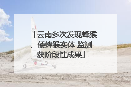 云南多次发现蜂猴、倭蜂猴实体 监测获阶段性成果