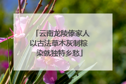云南龙陵傣家人以古法草木灰制粽 染就独特乡愁