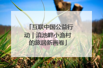 互联中国公益行动｜滇池畔小渔村的旅居新画卷