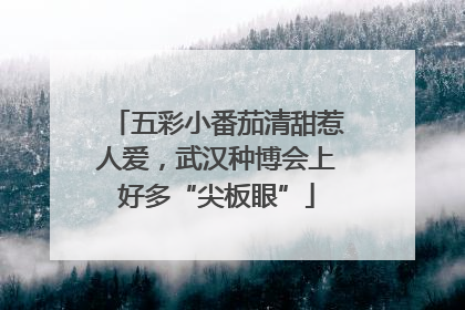 五彩小番茄清甜惹人爱，武汉种博会上好多“尖板眼”