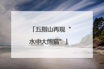 五指山再现“水中大熊猫”