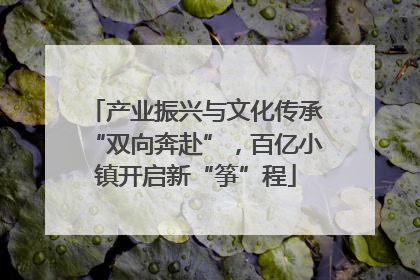 产业振兴与文化传承“双向奔赴”，百亿小镇开启新“筝”程