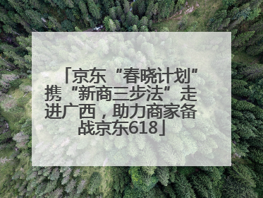 京东“春晓计划”携“新商三步法”走进广西，助力商家备战京东618