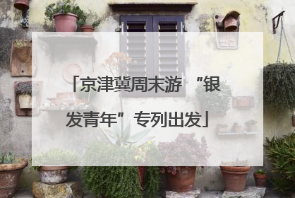京津冀周末游 “银发青年”专列出发