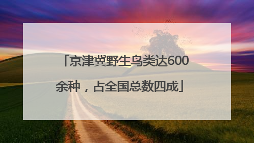 京津冀野生鸟类达600余种，占全国总数四成