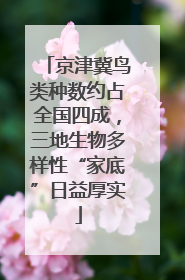 京津冀鸟类种数约占全国四成，三地生物多样性“家底”日益厚实