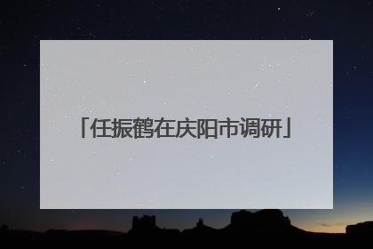 任振鹤在庆阳市调研