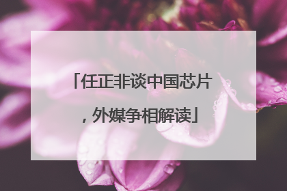 任正非谈中国芯片，外媒争相解读