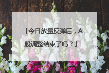 今日放量反弹后，A股调整结束了吗？