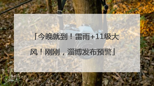 今晚就到！雷雨+11级大风！刚刚，淄博发布预警