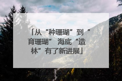 从“种珊瑚”到“育珊瑚” 海底“造林”有了新进展