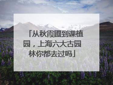 从秋霞圃到课植园，上海六大古园林你都去过吗