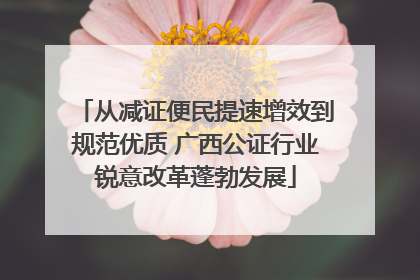 从减证便民提速增效到规范优质 广西公证行业锐意改革蓬勃发展