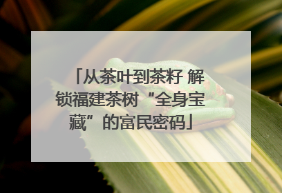 从茶叶到茶籽 解锁福建茶树“全身宝藏”的富民密码