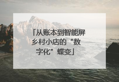 从账本到智能屏 乡村小店的“数字化”蝶变