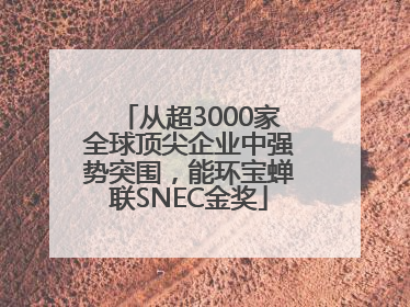 从超3000家全球顶尖企业中强势突围，能环宝蝉联SNEC金奖