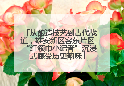 从酿造技艺到古代战道，雄安新区容东片区“红领巾小记者”沉浸式感受历史韵味