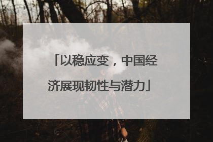 以稳应变，中国经济展现韧性与潜力