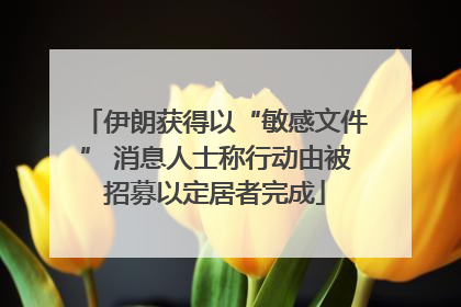 伊朗获得以“敏感文件” 消息人士称行动由被招募以定居者完成