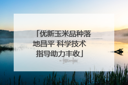 优新玉米品种落地昌平 科学技术指导助力丰收
